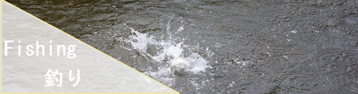 釣り堀